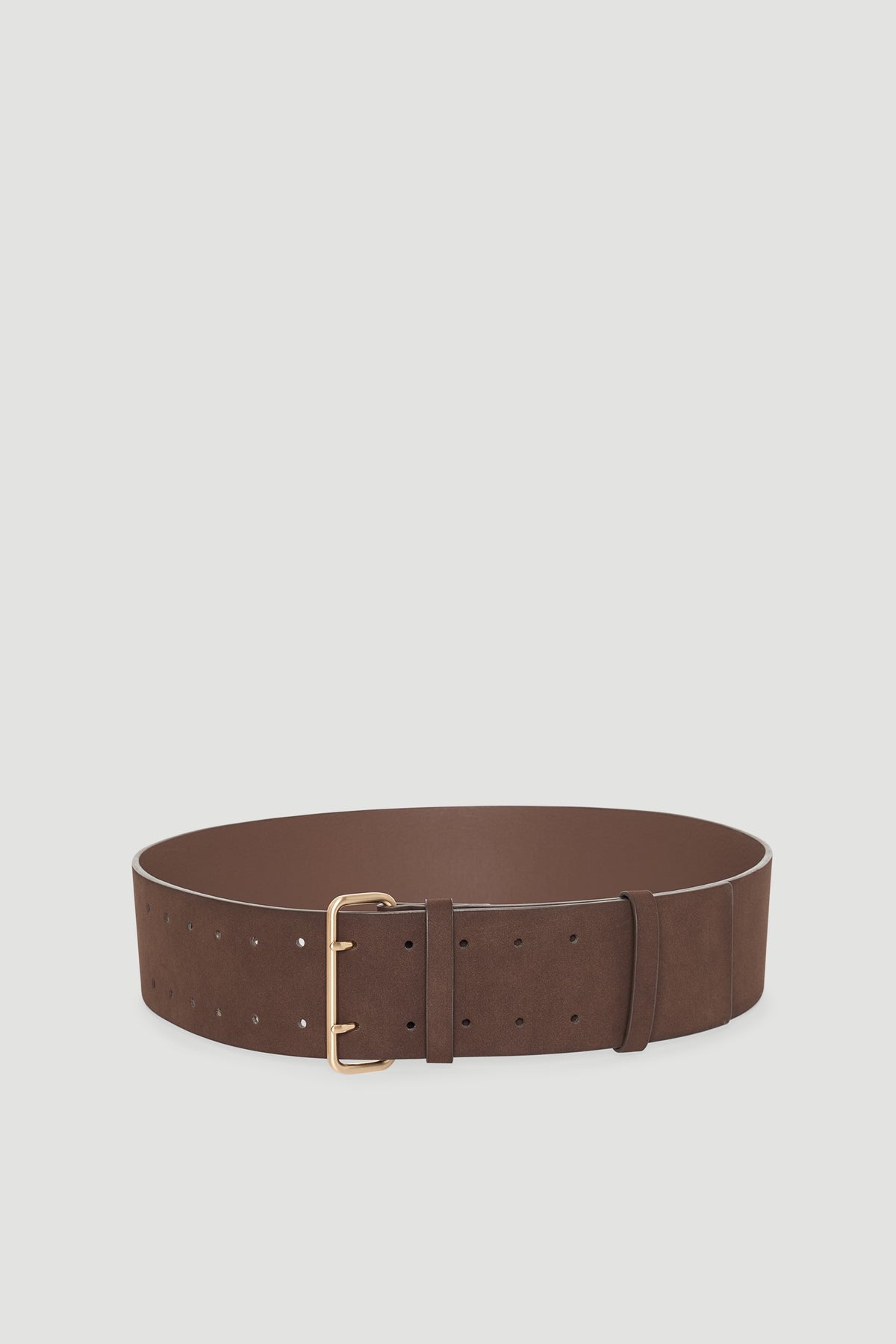 Wide chocolate brown belt with gold-tone double prong buckle and multiple adjustment holes for versatile styling