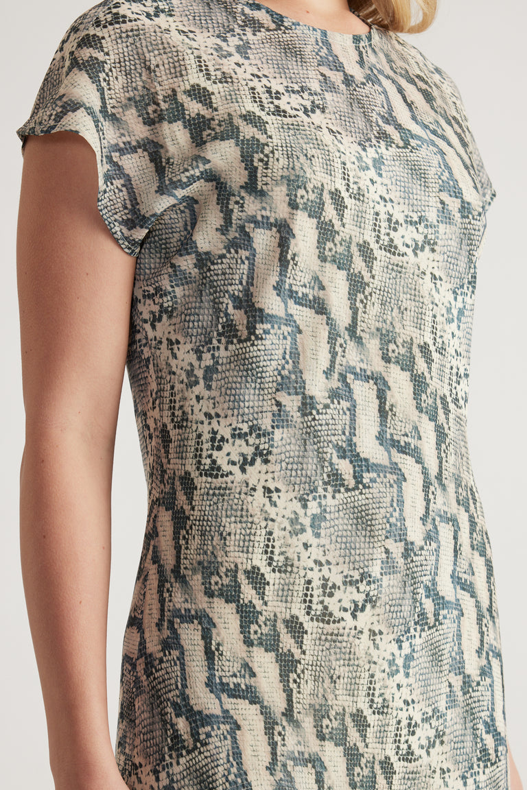 Woman wearing a beige and blue snake print dress with short sleeves and a round neckline
