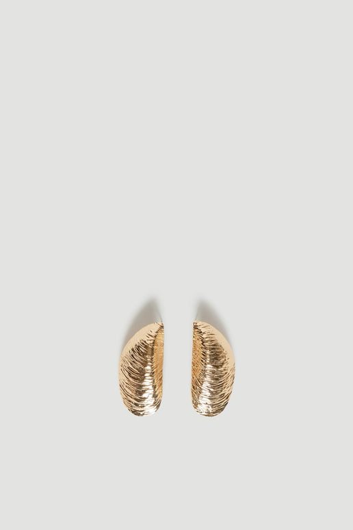 Textured gold shell stud earrings with high shine finish and medium weight design